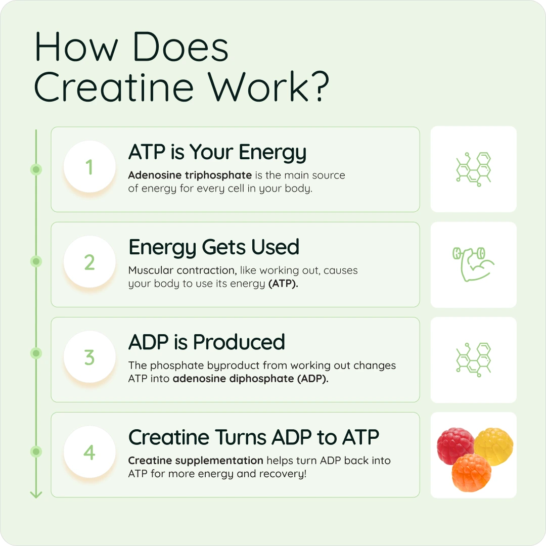Creatine Monohydrate Gummies