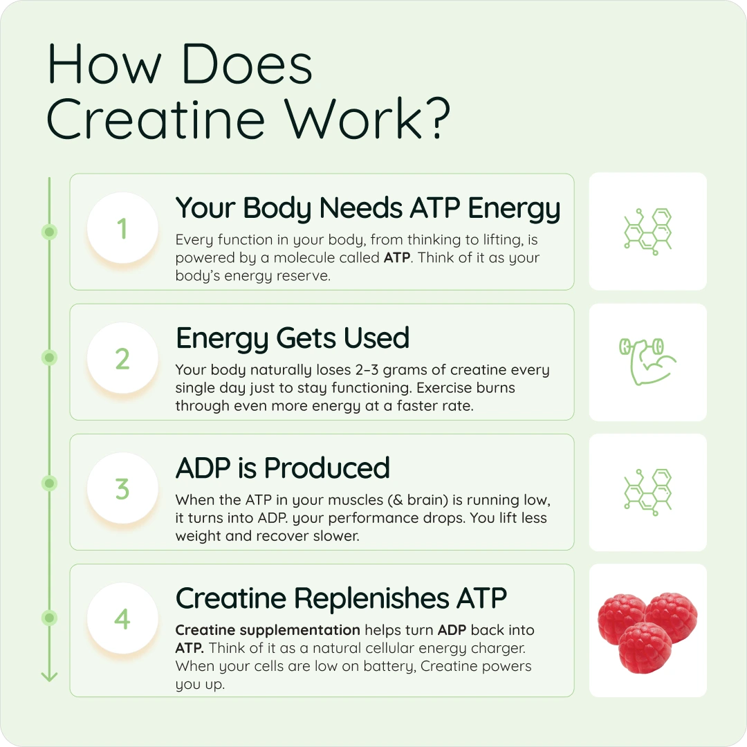 Nootra Creatine Gummies
