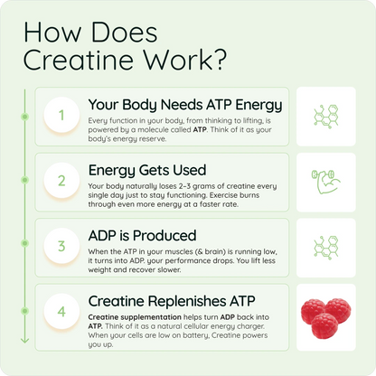 Nootra Creatine Gummies